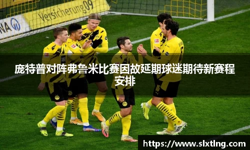 庞特普对阵弗鲁米比赛因故延期球迷期待新赛程安排